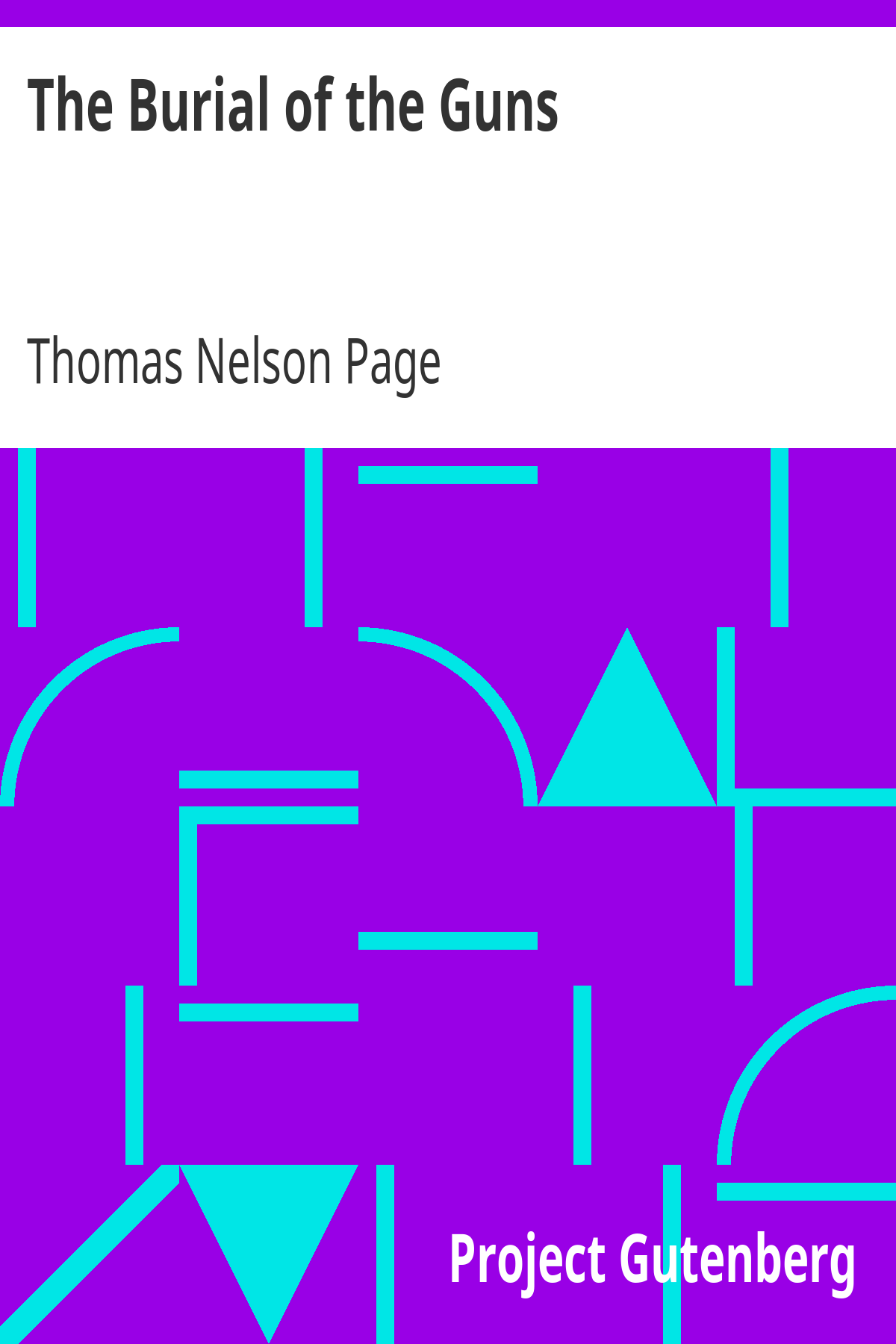 Book cover for The Burial of the Guns