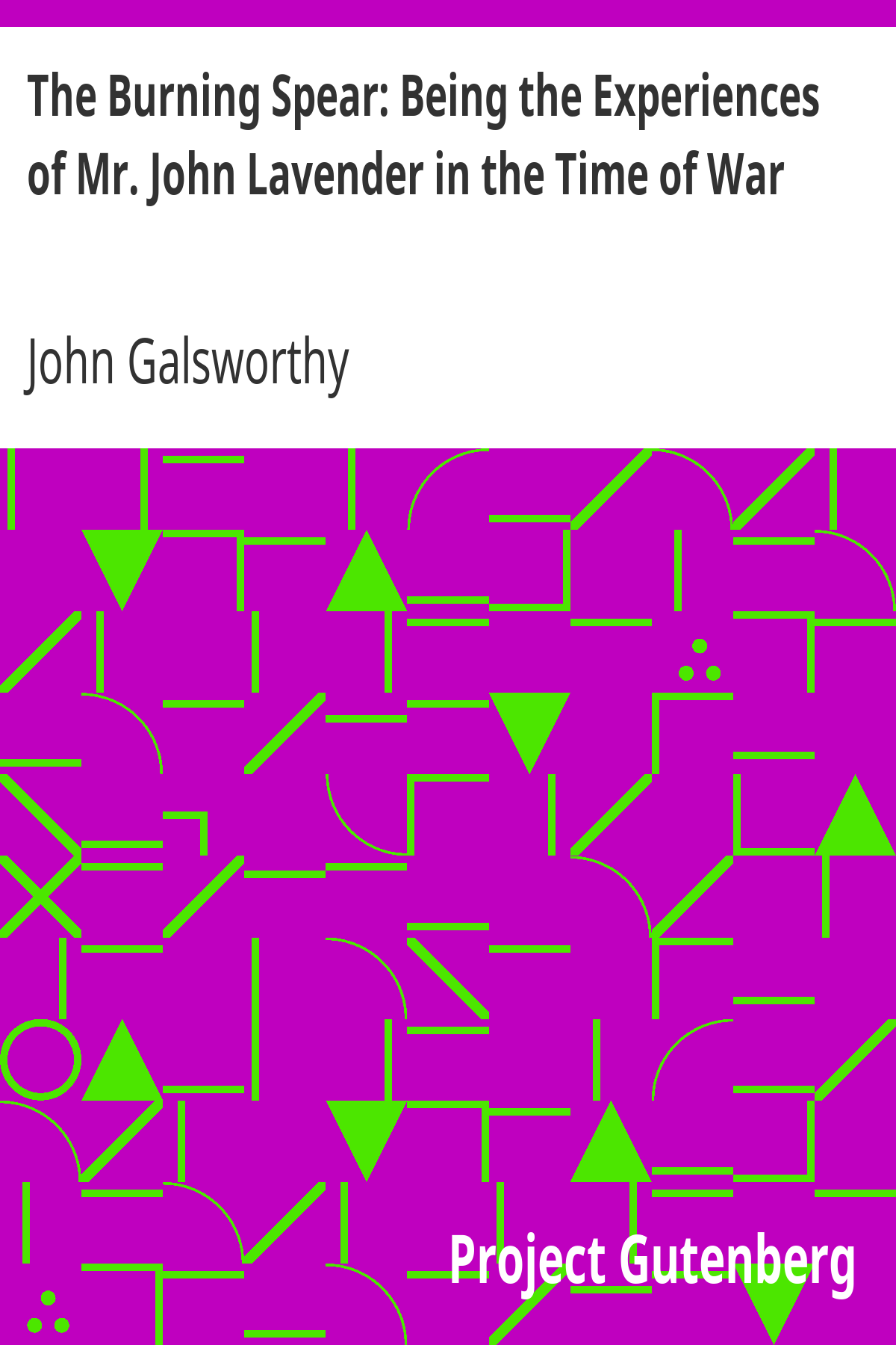 Book cover for The Burning Spear: Being the Experiences of Mr. John Lavender in the Time of War
