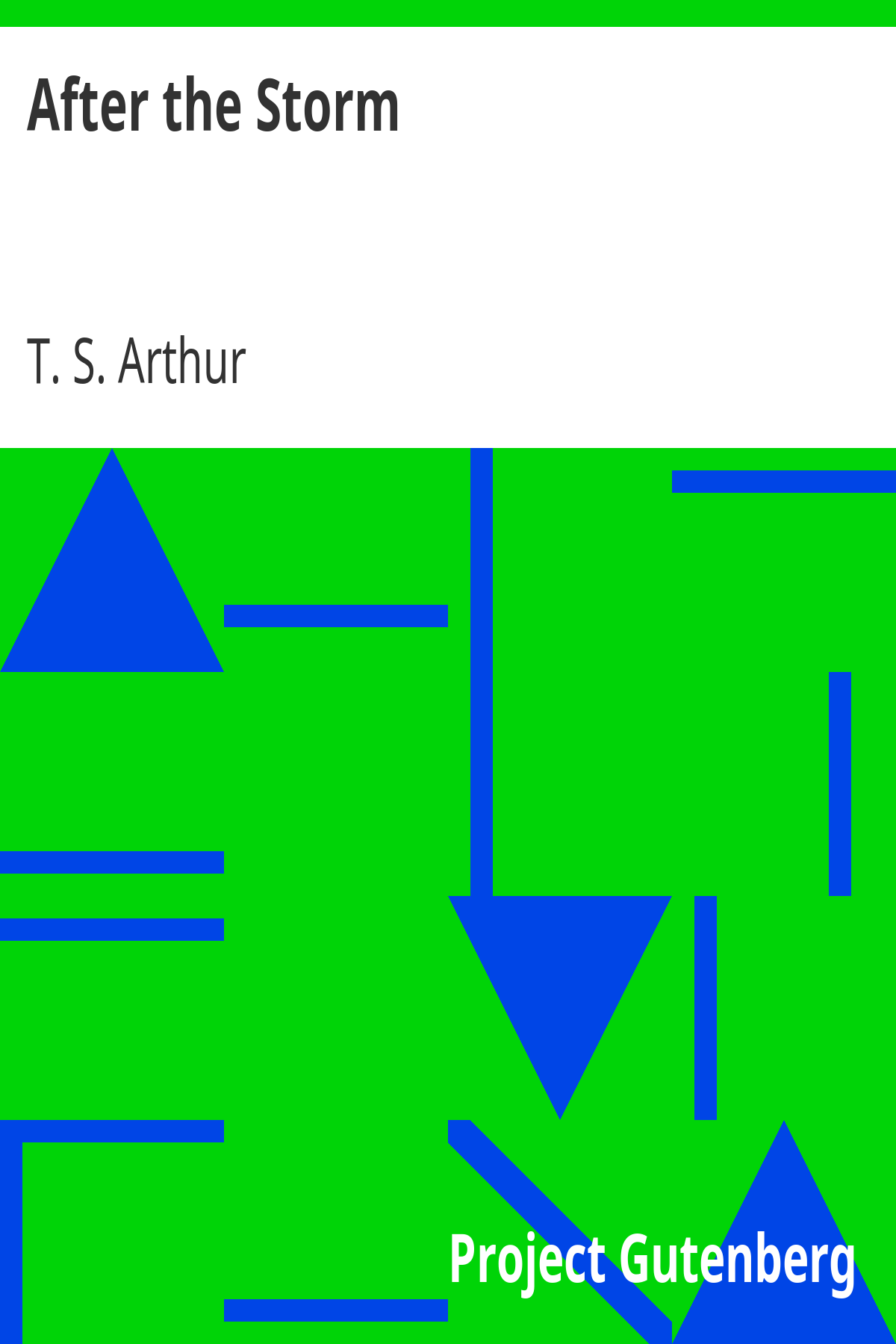 Book cover for After the Storm