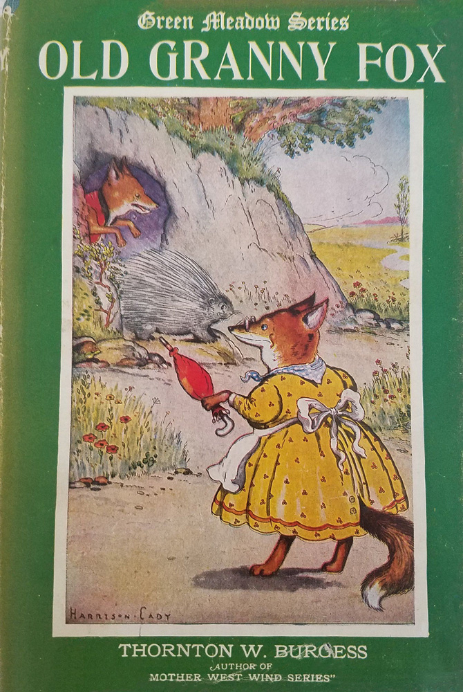 Book cover for Old Granny Fox