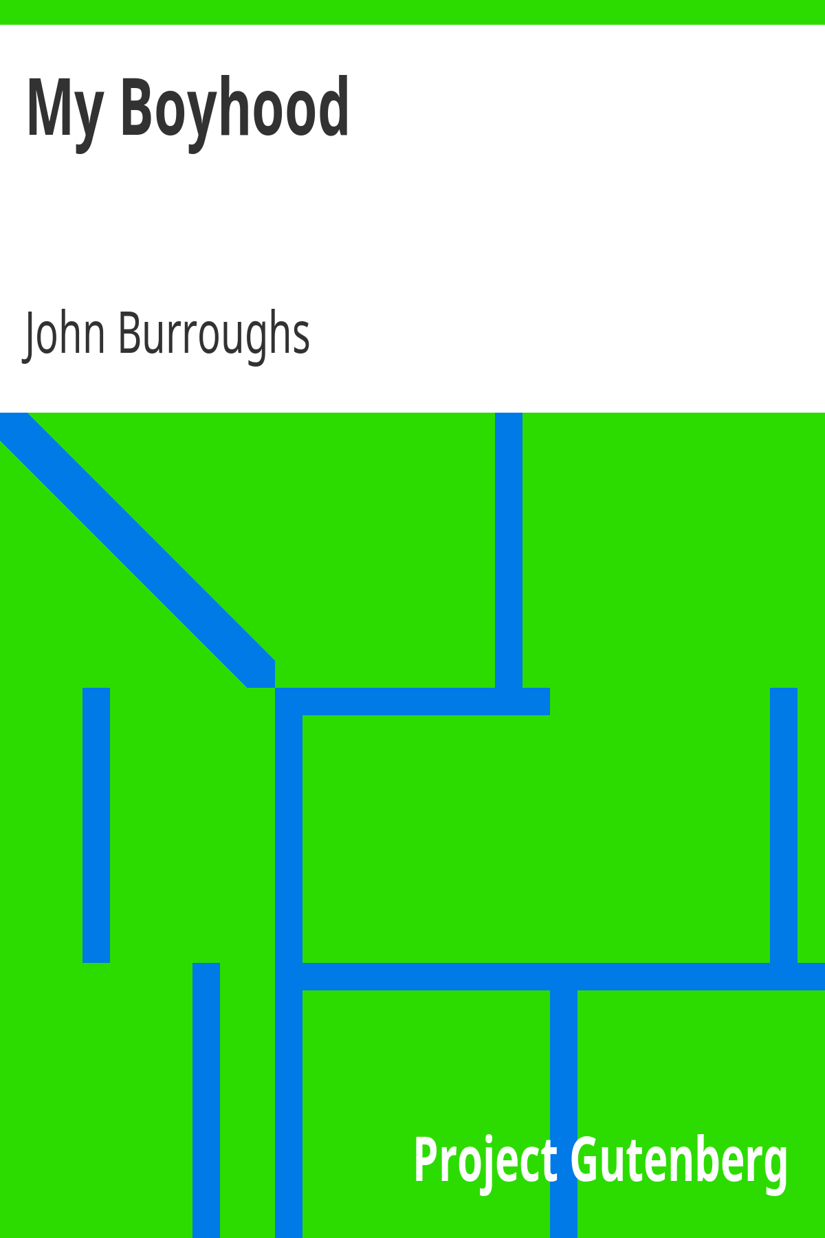 Book cover for My Boyhood